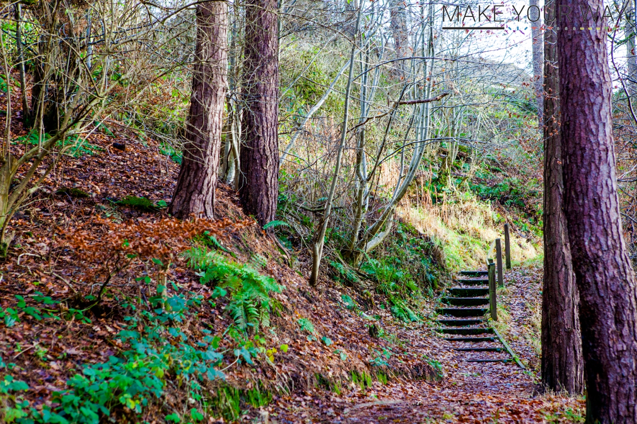 Make Your Way Jock's Burn Carluke